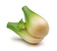 Erzi Fennel Bulb