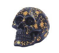 ERZU Life Size Human Skull Model 1:1 Human Skull Head Bone Model Human Skull Head Bone Model with Exquisite Workmanship for Halloween Decoration Supplies