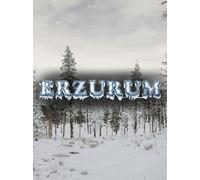 Erzurum (PC) - Steam Gift - GLOBAL