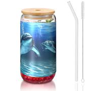ESASAM Dolphins in The Sea 16oz Bamboo Covered Straw Glass Cup, Highly Transparent and Bpa Free, Healthy and Environmentally Friendly