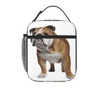 ESASAM English-Bulldog Printed Oxford Cloth Insulated Lunch Box, Refrigerated Bag for Children and Adults