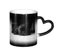 ESASAM French Bulldog Starry Sky Color Changing Mug, Adding A Touch of Magic to Your Daily Life