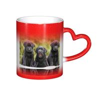 ESASAM Labrador Retriever Dog Starry Sky Color Changing Mug, Adding A Touch of Magic to Your Daily Life