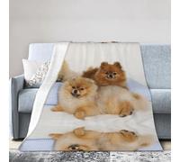 ESASAM Super Soft Flannel Blanket Cute Pomeranian, Warm And Not Pilling, Super Light
