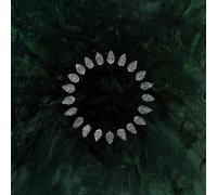 ESBEN AND THE WITCH - HOLD SACRED VINYL LP NEW