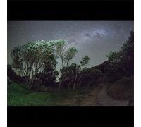 Esben and the Witch Older Terrors (Vinyl) 12" Album (US IMPORT)