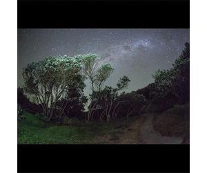 Esben and the Witch Older Terrors (Vinyl) 12" Album (US IMPORT)