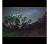Esben And The Witch - Older Terrors [VINYL]