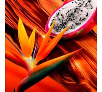 ESCADA Bali Paradise 100ML Eau de toilette Women's Perfumes