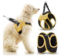Escape Free Easy Fit X, Miami Yellow, Large