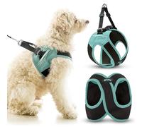Escape Free Easy Fit X, Seattle Blue, Small