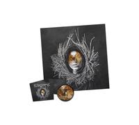 Escape From Wonderland - Pieces