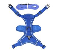 Escape Proof Cat Harness, Escape Proof Cat Harness, Jogging Lead for Cats, Escape Proof Cat Harness Easy to Control, Reflective Harness and Leash for Walking in the Outdoor