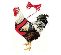 Escape-Proof Chicken Harness and Leash Set, Breathable Mesh Duck Leash and Harness Adjustable Elastic Hen Vest Comfortable Harness for Rooster Goose Puppy Kitten and Small Pets Walking, Red M
