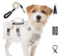 Escape Proof Dog Harness for Large Medium Sized Dogs Six Point Adjustable, Service Dog Vest Harness and Leash Set, No Pull Dogs Harnesses with Handle, Medium Dog Harnesses for Walking(Beige, S)