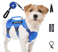 Escape Proof Dog Harness for Large Medium Sized Dogs Six Point Adjustable, Service Dog Vest Harness and Leash Set, No Pull Dogs Harnesses with Handle, Medium Dog Harnesses for Walking(Blue, S)