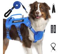 Escape Proof Dog Harness for Large Medium Sized Dogs Six Point Adjustable, Service Dog Vest Harness and Leash Set, No Pull Dogs Harnesses with Handle, XL Dog Harnesses for Walking(Blue, XL)