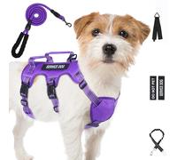 Escape Proof Dog Harness for Large Medium Sized Dogs Six Point Adjustable, Service Dog Vest Harness and Leash Set, No Pull Dogs Harnesses with Handle, Medium Dog Harnesses for Walking(Purple, S)