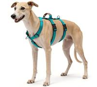 Escape Proof Dog Vest Harness, Anti Pull Adjustable Safety Fit, Secure 3-Point Design and Handle for Medium Large Breeds Walking and Hiking (Blue, L)