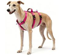 Escape Proof Dog Vest Harness, Anti Pull Adjustable Safety Fit, Secure 3-Point Design and Handle for Medium Large Breeds Walking and Hiking (Rose Pink, L)