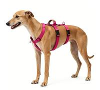 Escape Proof Dog Vest Harness, No Escape 3-Point Anti Pull Safety Design, Adjustable with Neck Release and Handle, for Large Dogs Outdoor Walking Training (Rose Pink, XL)