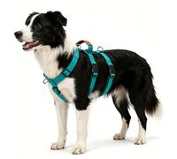 Escape Proof Dog Vest Harness, No Pull Adjustable 3-Point Safety Design with Neck Release and Carry Handle, for Medium Dogs Walking and Outdoor Training (Blue, M)