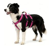 Escape Proof Dog Vest Harness, No Pull Adjustable 3-Point Safety Design with Neck Release and Carry Handle, for Medium Dogs Walking and Outdoor Training (Rose Pink, M)