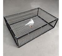 Escape-Proof Pigeon Trap Cage with One-Way Entry, Automatic Bird Collection, Metal Welding, Portable and Easy Assembly for Effective Bird Control