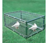 Escape-Proof Pigeon Trap with One-Way Entry, Automatic Bird Collection Cage, Metal Welding, Portable and Easy Assembly for Effective Bird Control