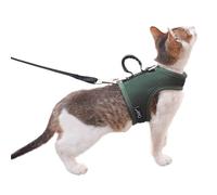 Escape-proof Walking Harness and Leash for Cat, Breathable Mesh Fabric, Solid Green, Medium Size, Adjustable Walking Jackets with Handle, Stylish Padded Vest for Cat