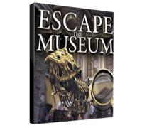 Escape The Museum Steam Key GLOBAL