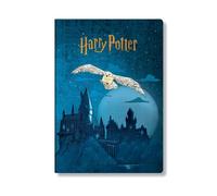 Escape to Hogwarts (Harry Potter Collection) A5 Grid Cahier