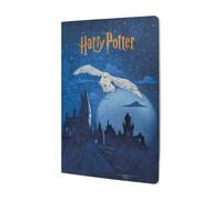 Escape to Hogwarts (Harry Potter Collection) A6 Grid Hardcover Cahier