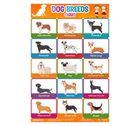 ESCAPER Dog Breed Chart for Kids learning (11.5 x 17.5 inches), Dog Breed wall Chart is Perfect for Homeschooling, Kindergarten and Nursery Students