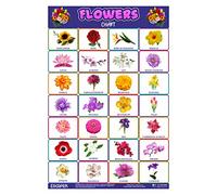 ESCAPER Kids Learning Flower Chart (11.5" x 17.5"), Flower Name Chart, Flower Chart for Kids, Kindergarten Kids Charts