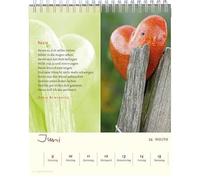 Eschbacher Annual Calendar with German Text "Die beste Zeit ist Heut 2024"