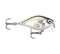 Esche esca di pesca essenziali, 1, 146500