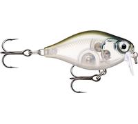 Esche esca di pesca essenziali, 1, 146500