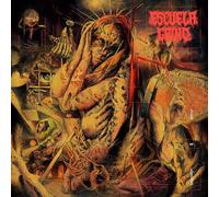 Escuela Grind - Dreams On Algorithms (Transparent Violet) [VINYL]