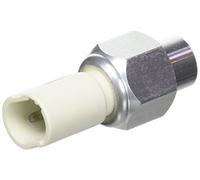 Esen SKF 95SKV200 Switch