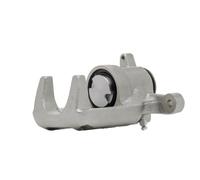 ESEN SKV 44SKV483 Brake caliper