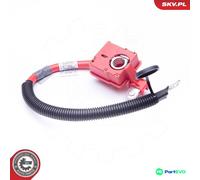 ESEN SKV BATTERY ADAPTER 96SKV304 FOR BMW