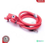 ESEN SKV BATTERY ADAPTER 96SKV308 FOR BMW
