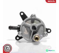 ESEN SKV BRAKING SYSTEM VACUUM PUMP 18SKV010