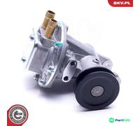 ESEN SKV BRAKING SYSTEM VACUUM PUMP 18SKV034 FOR PEUGEOT ROVER
