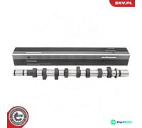 ESEN SKV CAMSHAFT 80SKV027 FOR NISSAN RENAULT