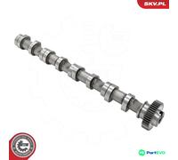 ESEN SKV CAMSHAFT 80SKV031 FOR AUDI SEAT SKODA VW