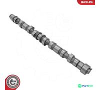 ESEN SKV CAMSHAFT 80SKV075 FOR HYUNDAI KIA