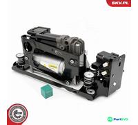 ESEN SKV COMPRESSED AIR SYSTEM COMPRESSOR 58SKV511 FOR BMW