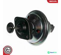 ESEN SKV EGR VALVE 14SKV078 FOR BMW MINI